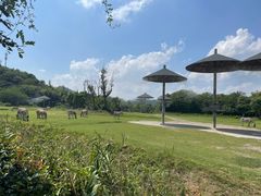 -宁波野生动物园