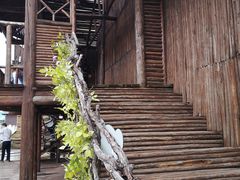 -呀路古热带植物园