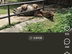 -南昌动物园
