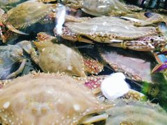 -云南巷海鲜大咖·可加工海鲜