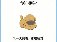 -美联众合动物医院·24h转诊中心