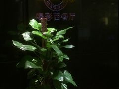 -城市名人酒店-喝彩西餐厅(名人城市广场店)