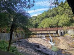 -广州白江湖森林公园