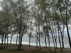 -长广溪湿地公园