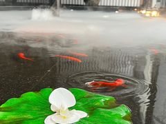 -金色艳阳天•粤菜 淮扬菜(古平岗店)