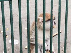 -秦皇岛野生动物园