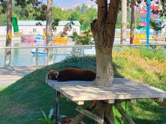 -水上乐园·欢乐世界