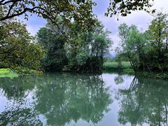 -西溪国家湿地公园