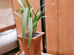 -南堂小馆·川菜馆(德商国际店)
