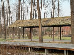 -合肥滨湖国家森林公园