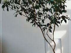 -VOYAGE COFFEE(杨梅竹店)