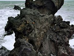 -龙头岩(Dragon Head Rock)