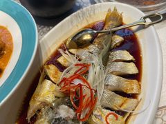 -迦南苑·新派青岛菜·生日纪念日主题餐厅