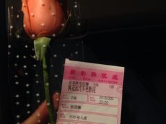 -枫花园汽车电影院(朝阳公园店)