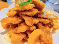 -俭寨大盘鸡·手抓肉·烧烤新疆菜(乌苏路店)