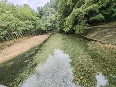 -祁门牯牛降观音堂风景区