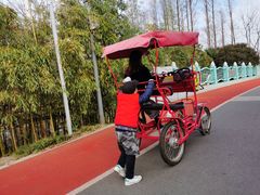 -上海长兴岛郊野公园