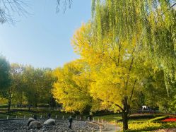 -私家美林护肤造型