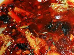 -紫光园·烤鸭·北京菜(劲松店)