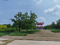 -大望京公园