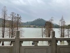 -顺峰山公园