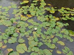 -狼山风景名胜区