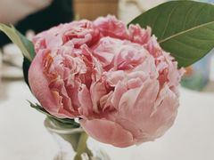 -鹿港小镇(金虹桥国际中心店)