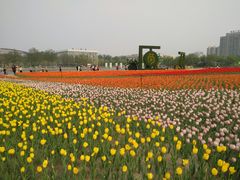 -廊坊文化艺术中心