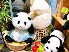 -三联韬奋书店(宽窄巷子店)