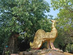 -云南勐巴娜西珍奇园