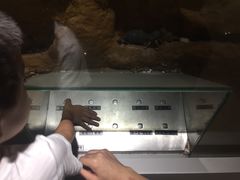 -上海昆虫博物馆