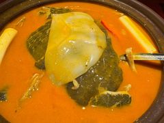 -潇湘甲鱼村(清河店)