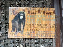 -昆明动物园