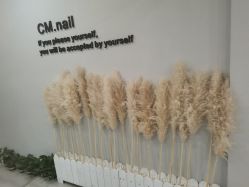 -CM.Nail美甲美睫