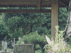 -黔灵山公园
