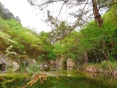 -木兰云雾山