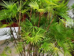 -舟山希尔顿酒店