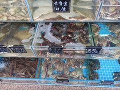 -北戴河庆山饭店·海鲜砂锅粥(北戴河黑石路店)
