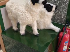 -北京华联购物中心(天通苑店)