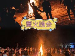 -上海山野camping·户外天幕烧烤·团建拓展营地