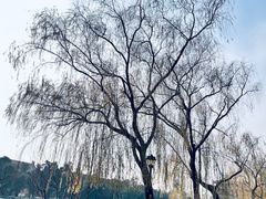 -东华门大街小区