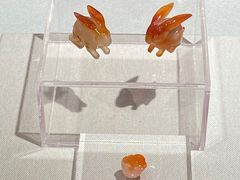 -重庆中国三峡博物馆(重庆博物馆)