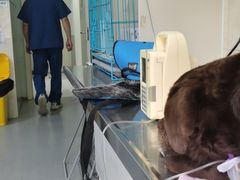 -酷宠动物医院(天通西苑店)