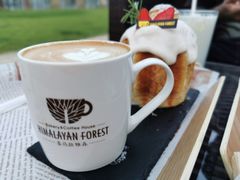 拿铁-喜马拉雅森HIMALAYAN FOREST