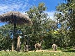 -北京野生动物园