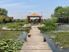 -同銮特种养殖场·龙虾垂钓