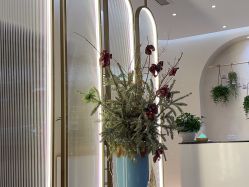 -艾维庭美容纤体SPA