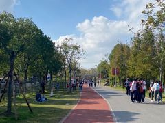 环境-上海长兴岛郊野公园