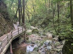 -牛背梁国家森林公园