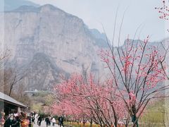 -河南宝泉旅游区